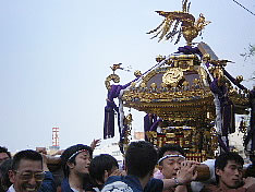 神田祭の御神輿